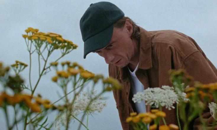 A Beautiful Wildflower Meadow
