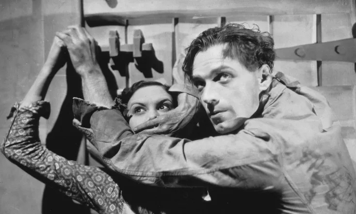 A Cottage on Dartmoor