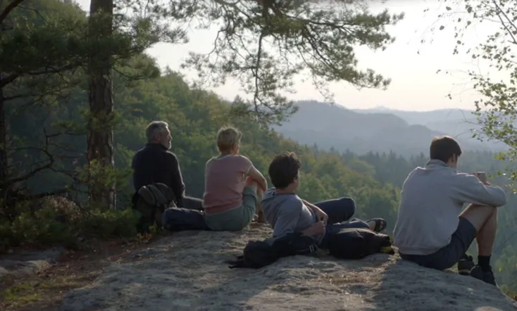 A Fish Swimming Upside Down