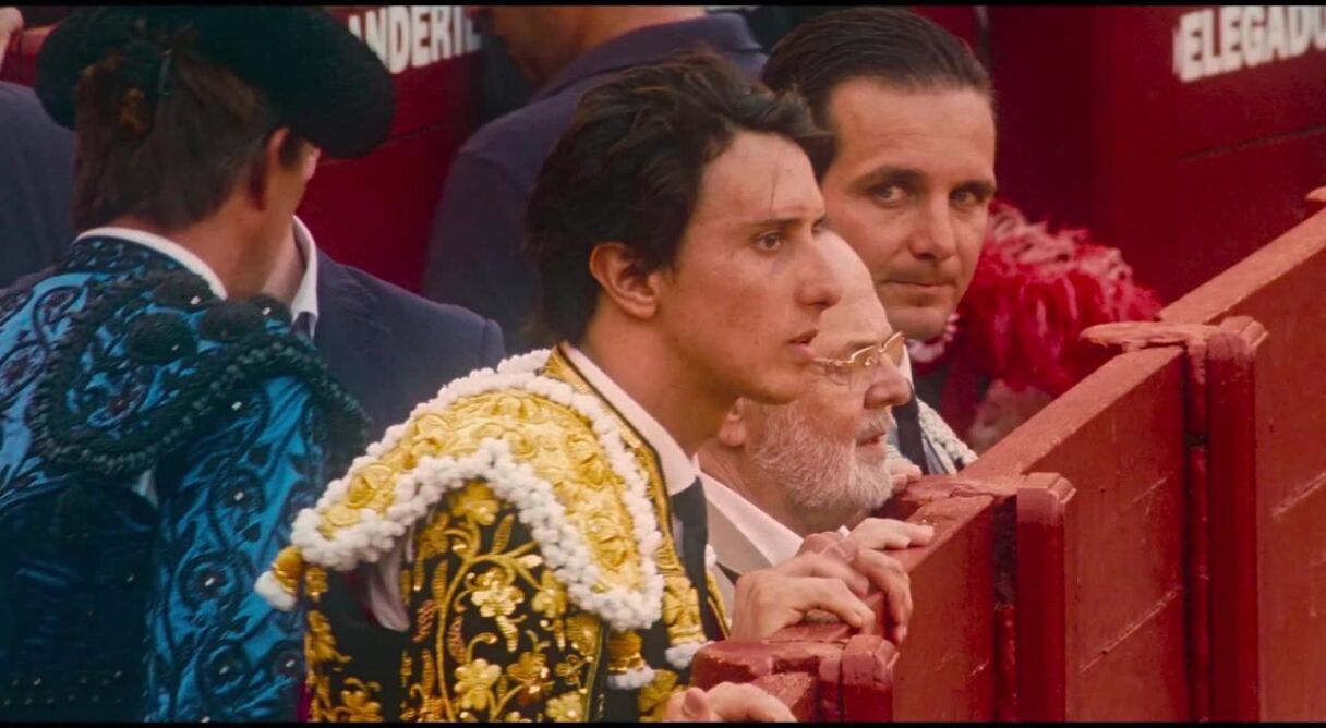 Afternoons of Solitude