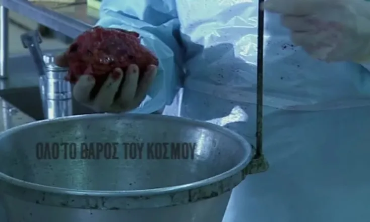 All the Weight of the World