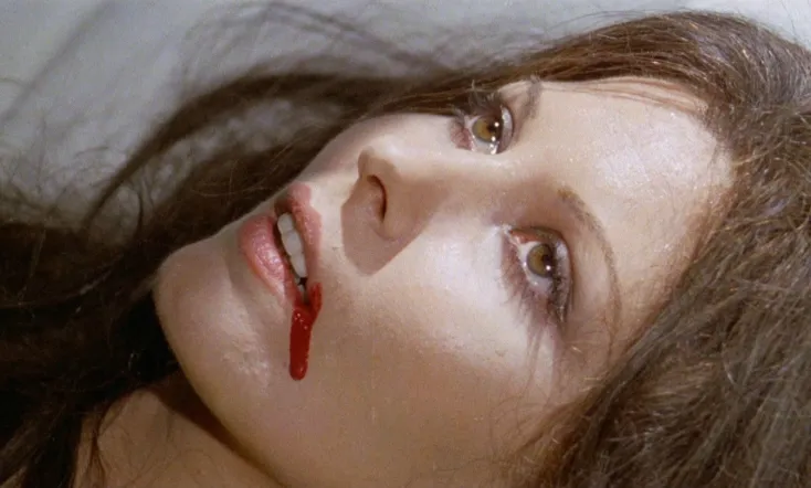 All the Colors of the Dark