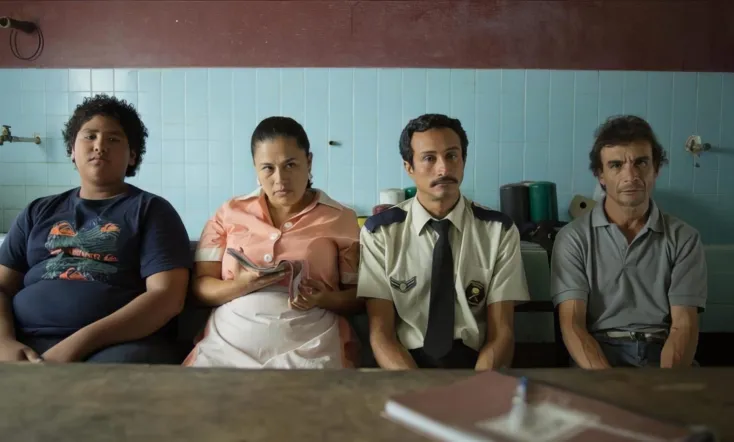 All About the Feathers