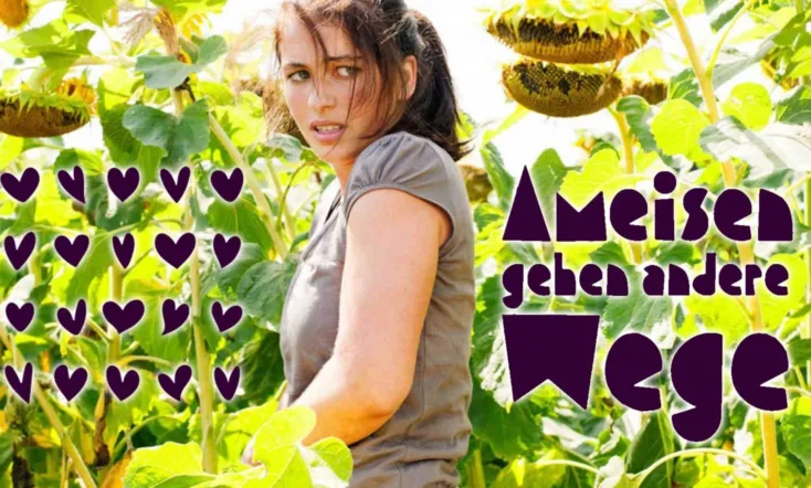 Ameisen gehen andere Wege