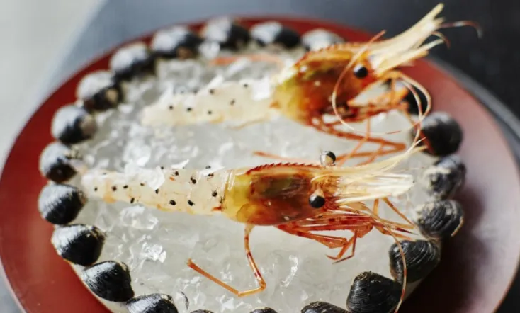 Ants on a Shrimp