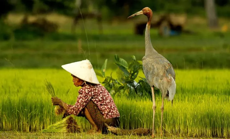 Angkor Awakens: A Portrait of Cambodia