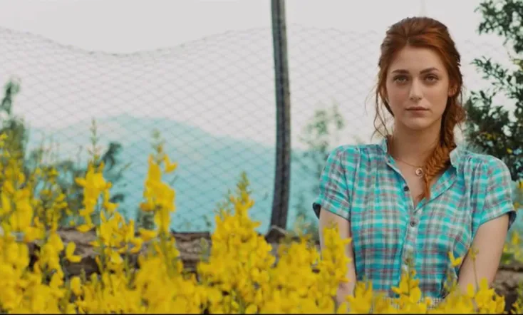 An Almost Perfect Country