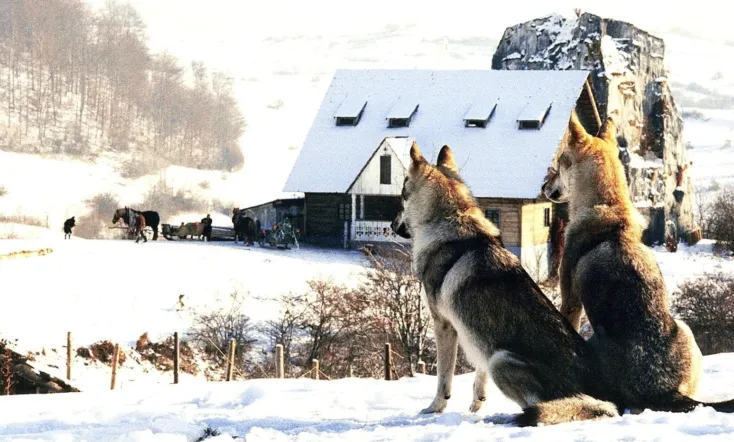 An Ambiguous Report About the End of the World