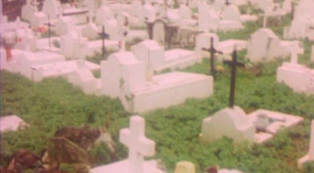 And the Dogs Were Silent