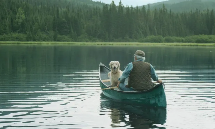 And the Birds Rained Down