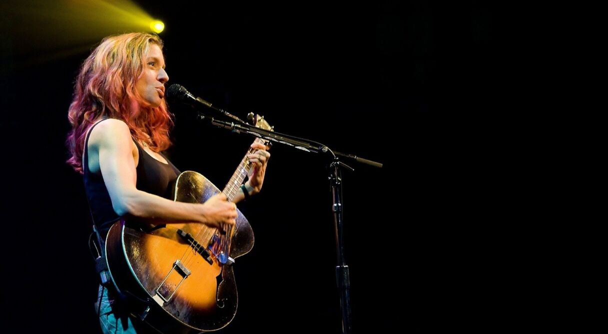 Ani DiFranco - Live at Babeville
