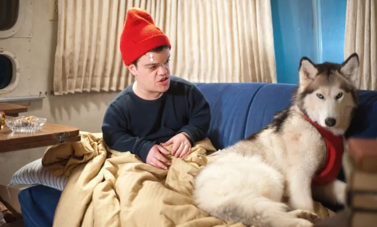 An Insignificant Harvey