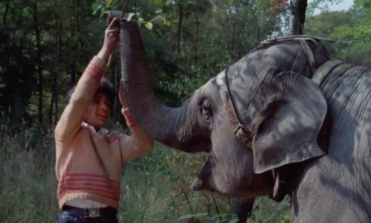 Anoop and the Elephant