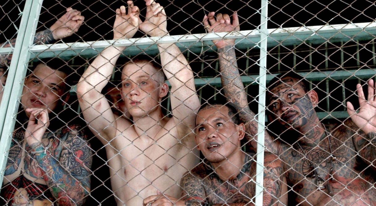 A Prayer Before Dawn