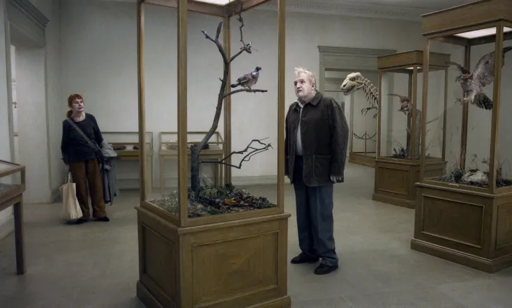 A Pigeon Sat on a Branch Reflecting on Existence