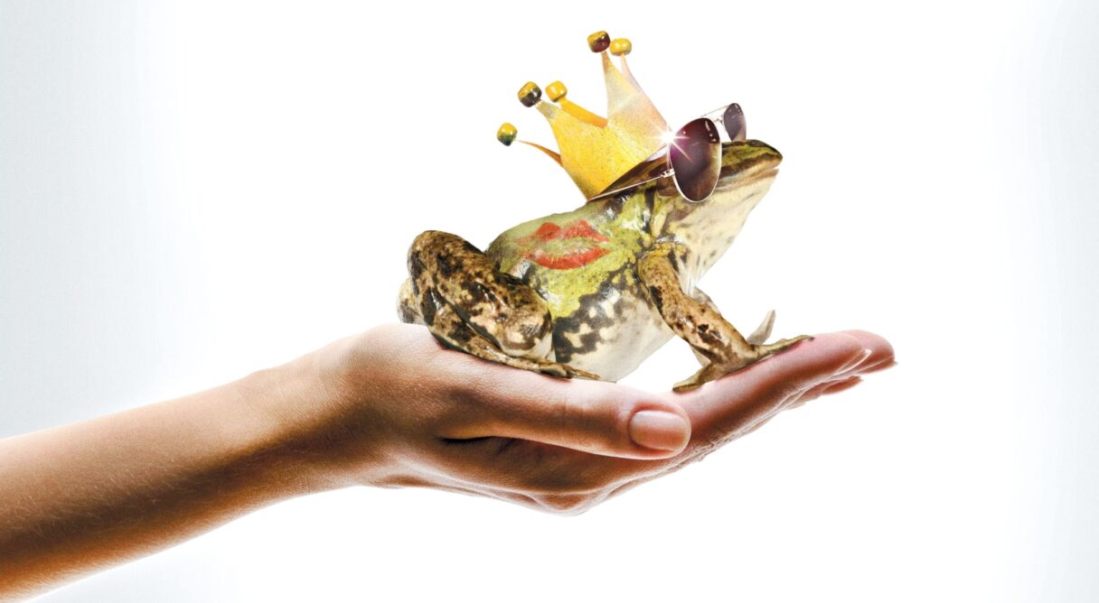 A Prince (almost) Charming