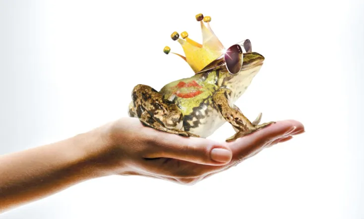 A Prince (almost) Charming