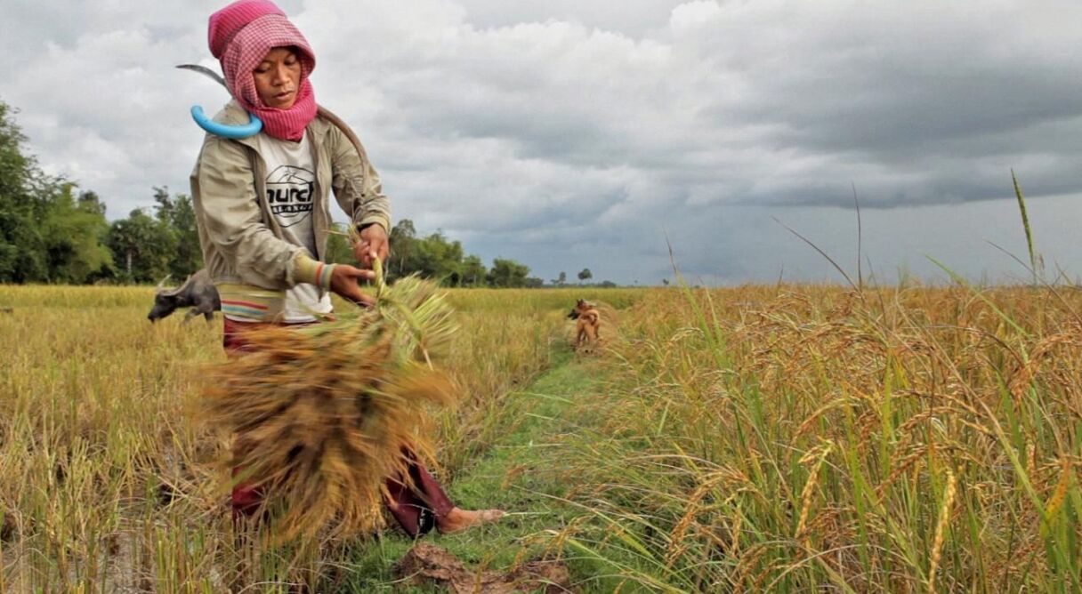 A River Changes Course