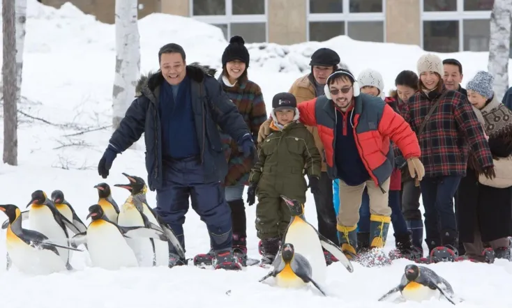 Asahiyama Zoo Story: Penguins in the Sky