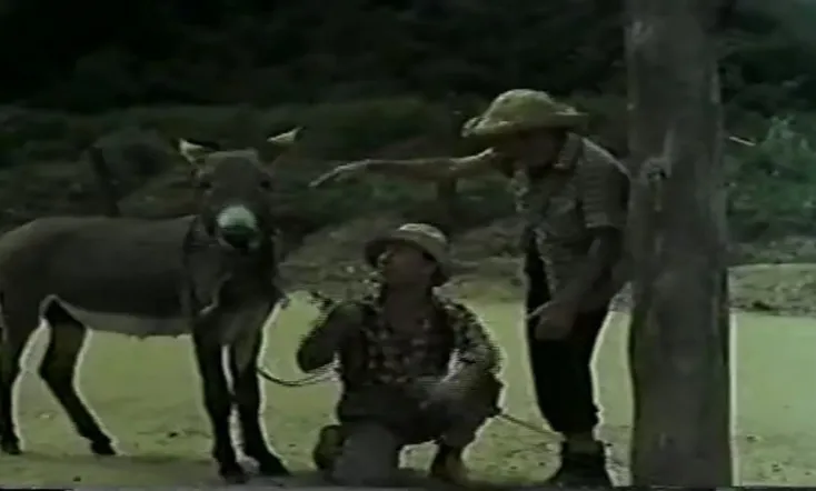 As Amantes de um Jumento