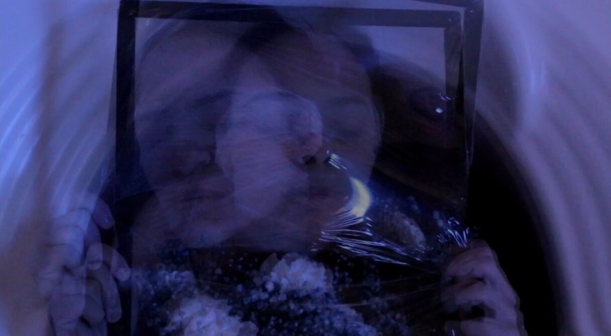 As Flores Que Me Restam