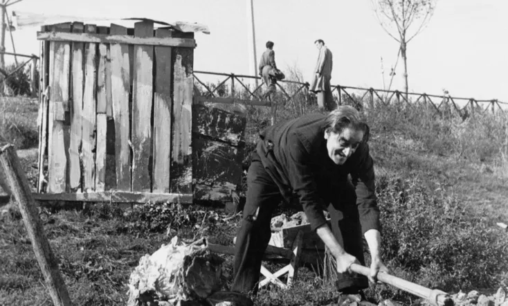 At the Edge of the City