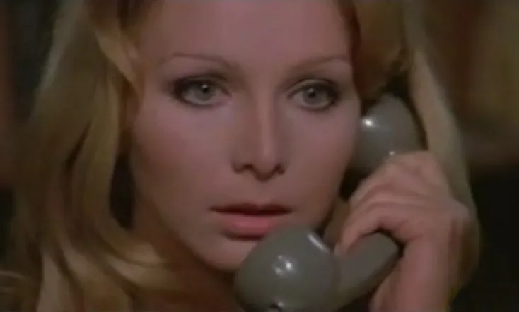 A Virgin in the Family