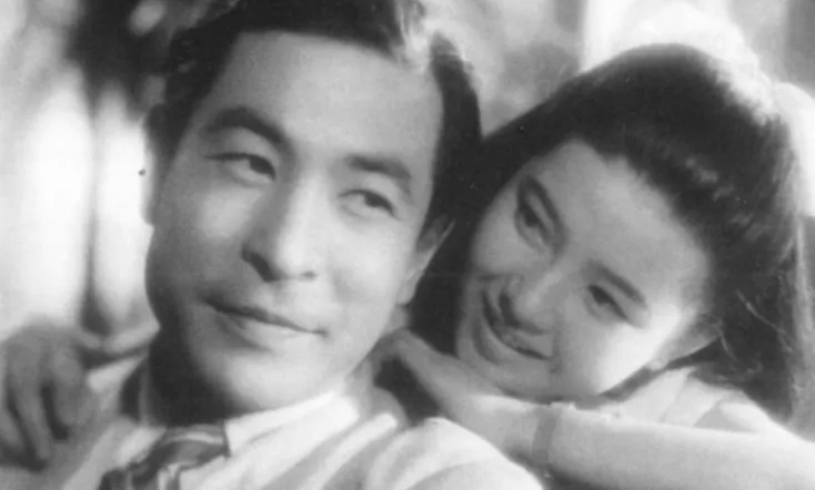 A Visage to Remember