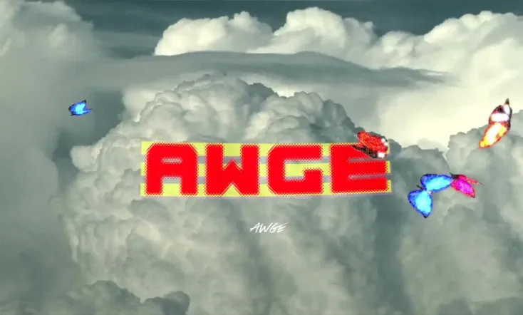 AWGE DVD: Volume 3