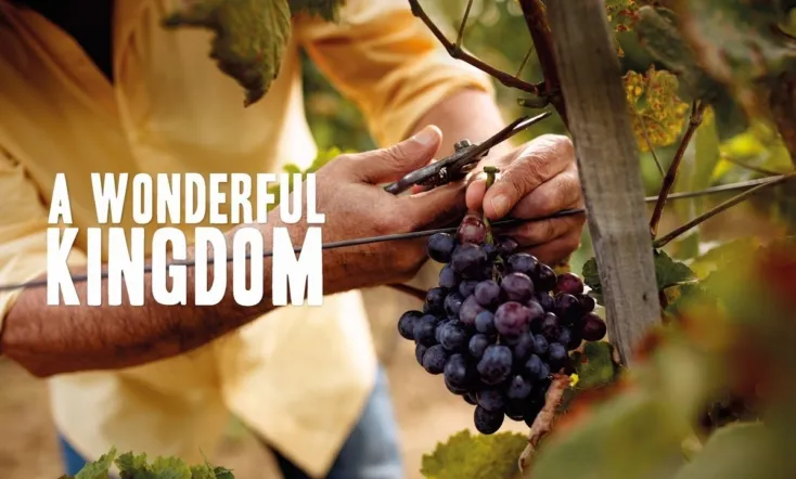 A Wonderful Kingdom