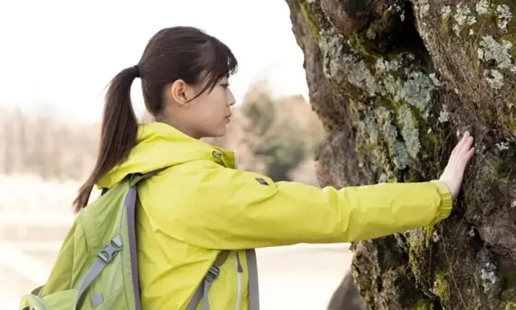 A World Without Cherry Blossoms