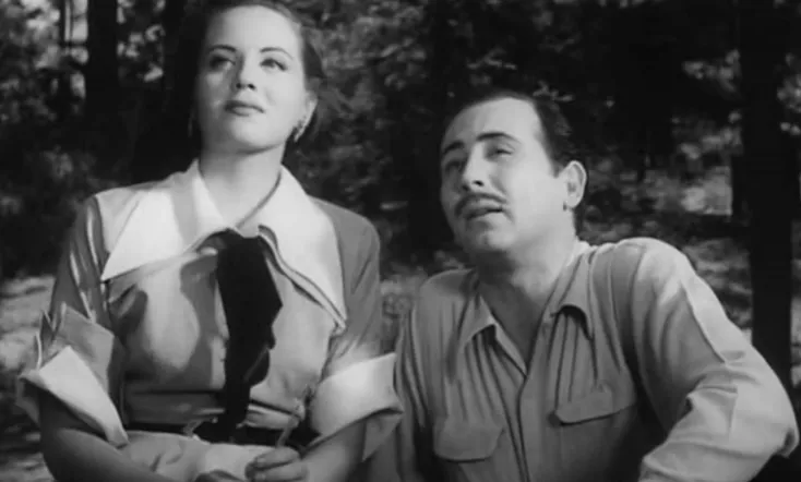 A Woman Without Love