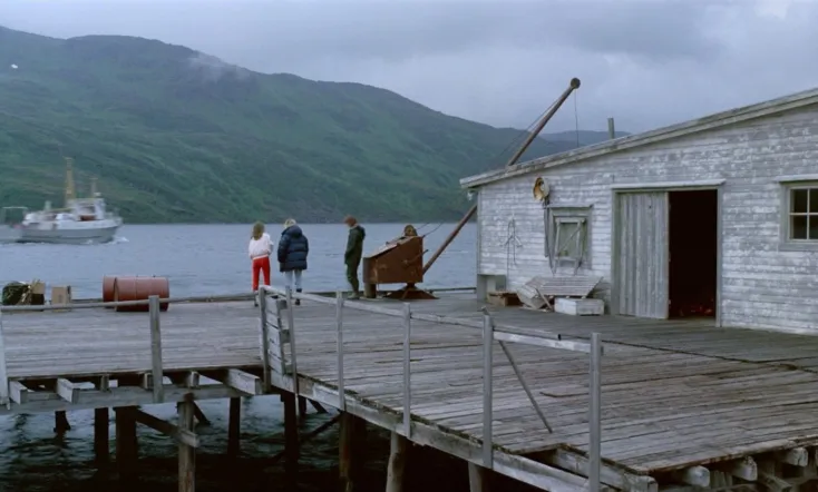 A Year Along the Abandoned Road