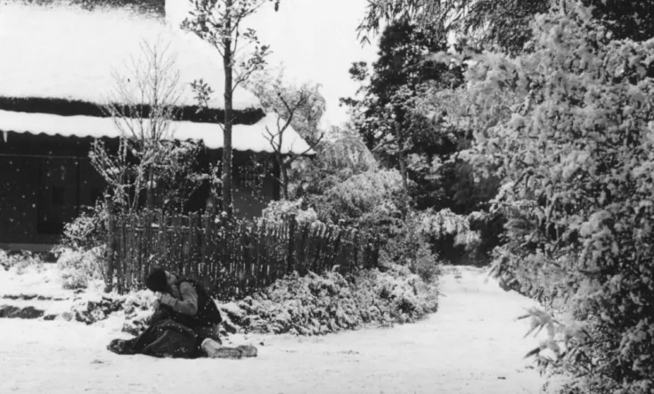 Bamboo Doll of Echizen