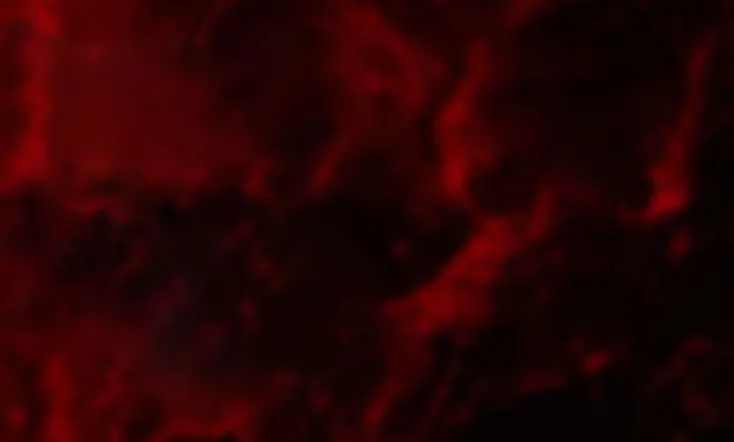 Bathtub Shark Attack