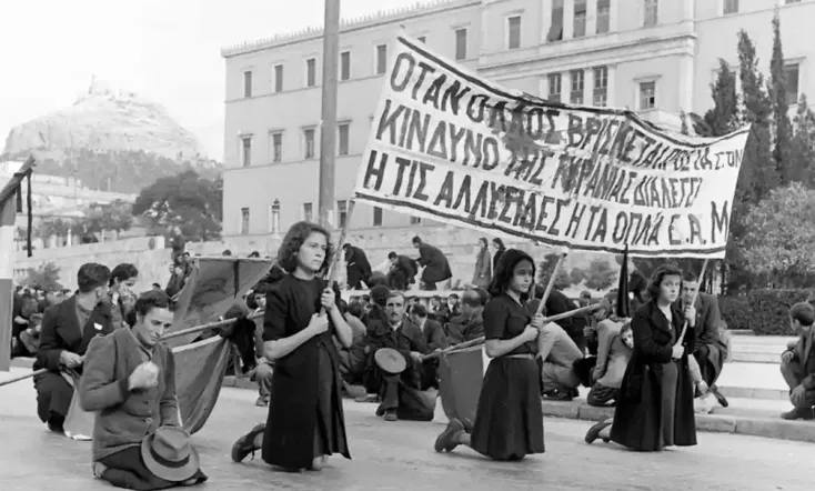 Beneath the Olive Tree