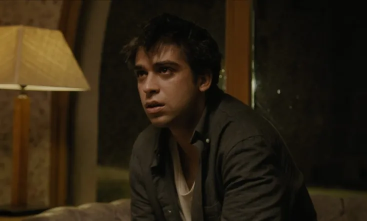 Birds Don’t Fly at Night