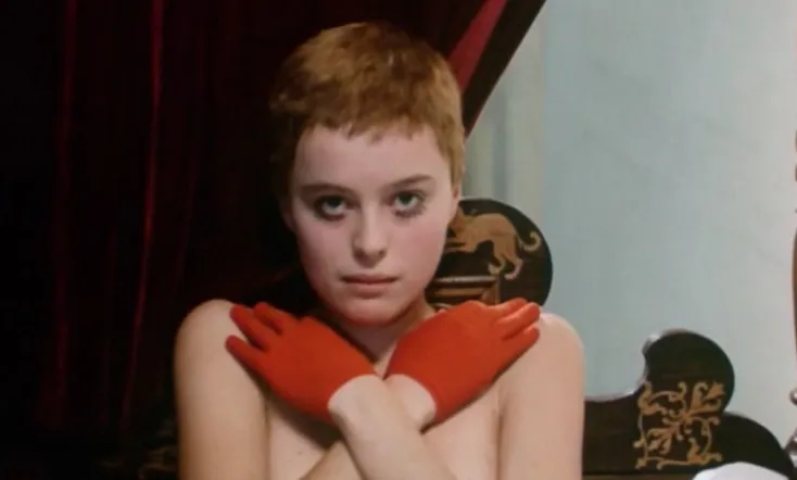 Birds, Orphans and Fools