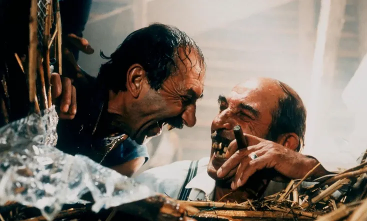 Black Cat, White Cat