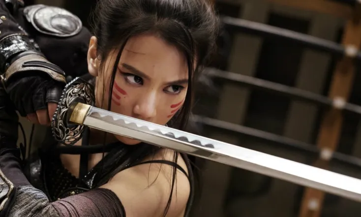 Black Fox: Age of the Ninja