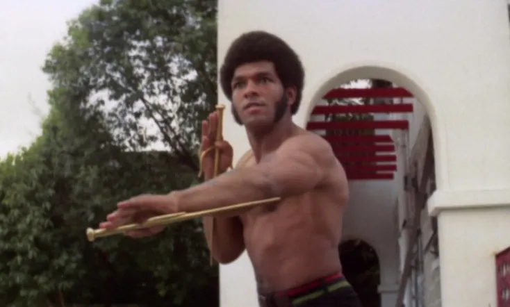 Black Dragon's Revenge