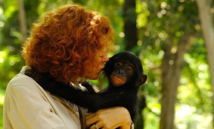 Bonobos: Back to the Wild