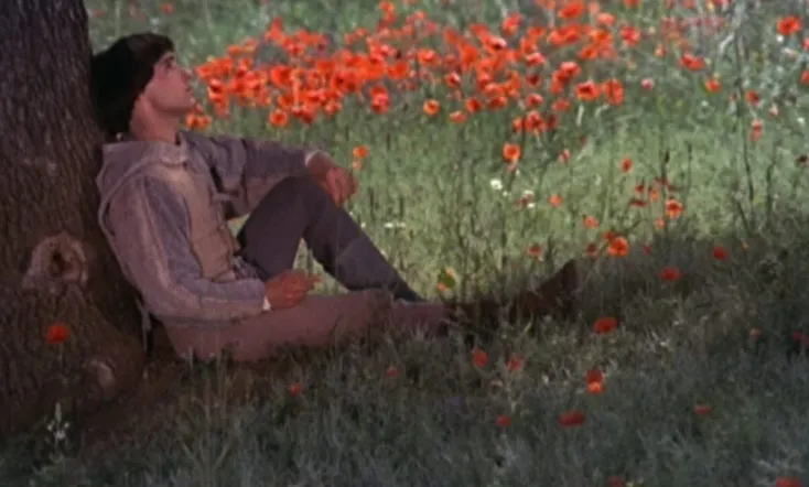 Brother Sun, Sister Moon