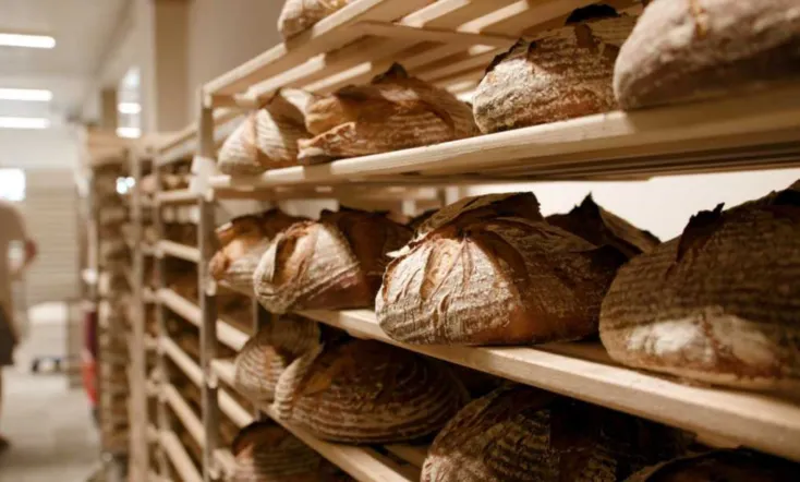 Bread: An Everyday Miracle