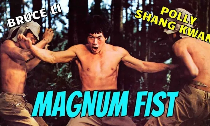 Bruce Li's Magnum Fist