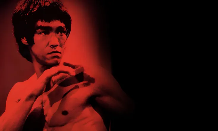 Bruce Lee: The Legend