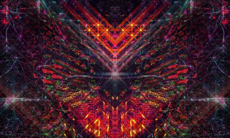 Bufo Alvarius – The Underground Secret