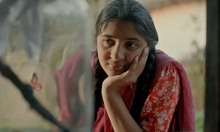 Butterfly on the Windowpane