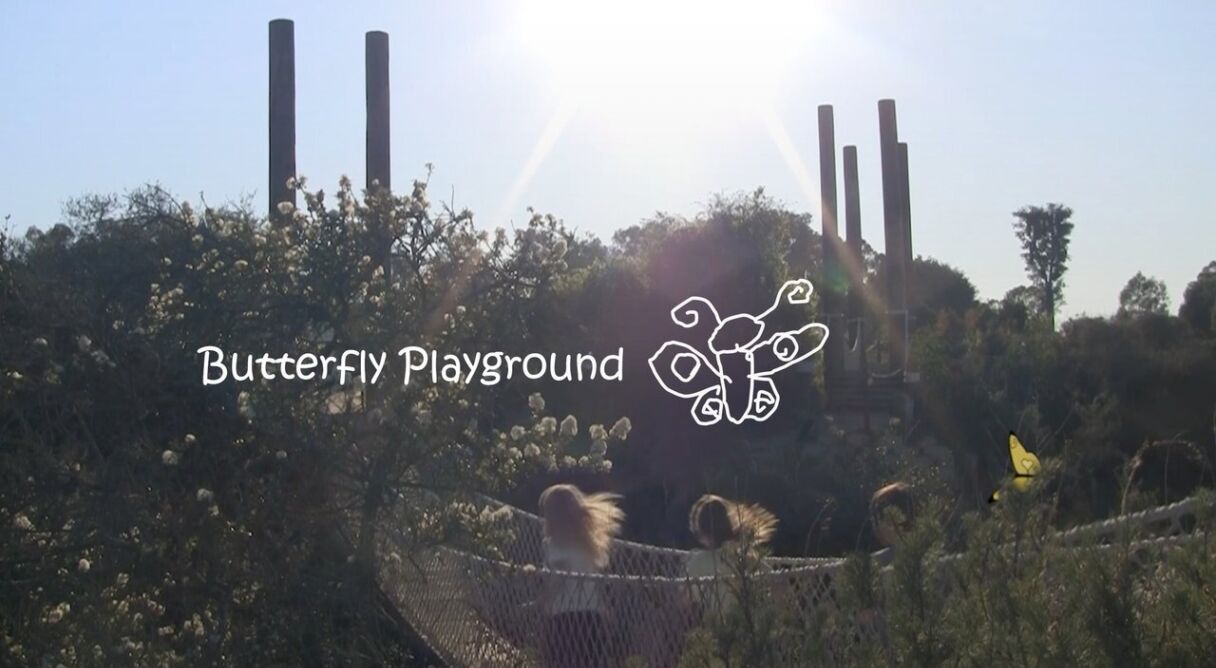 Butterfly Playground