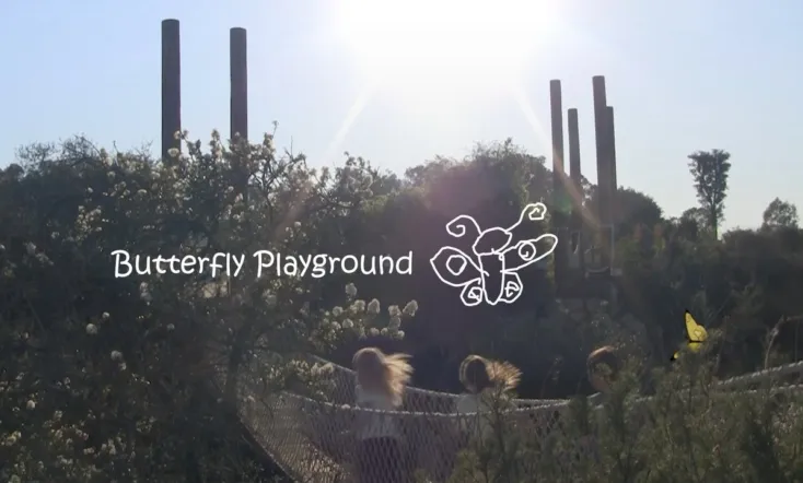 Butterfly Playground